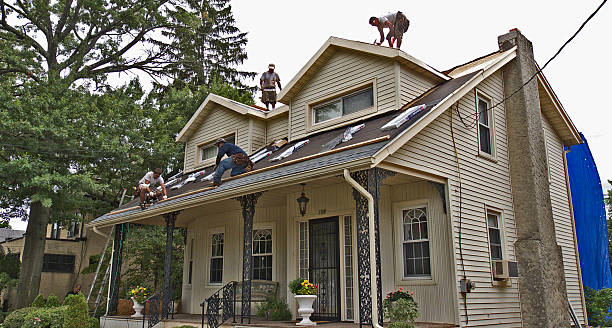 Best Storm Damage Roof Repair  in Hamilton College, NY